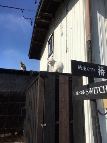 今日はお雛祭り
