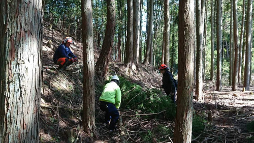 福屋　新春夢袋企画『大人のための贅沢な森遊び』開催