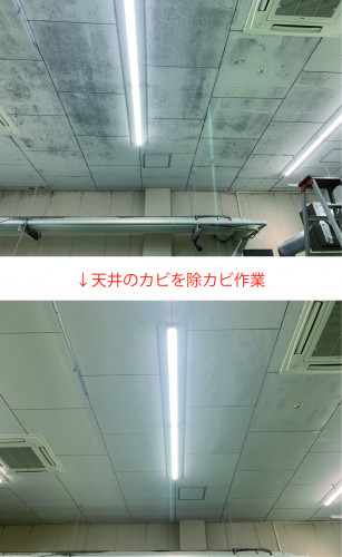 カビの除去を行わさせていただきました。