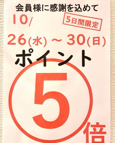 ✨ポイント5倍DAY開催中✨