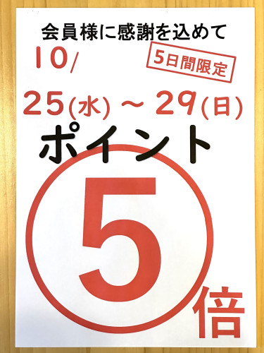 ✨ポイント5倍デー開催中✨