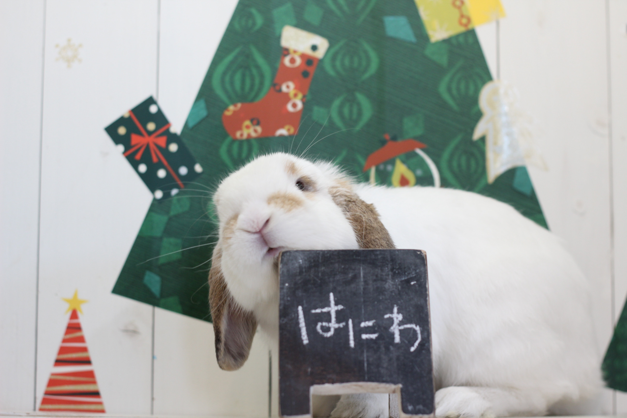 はにわくん1.jpg