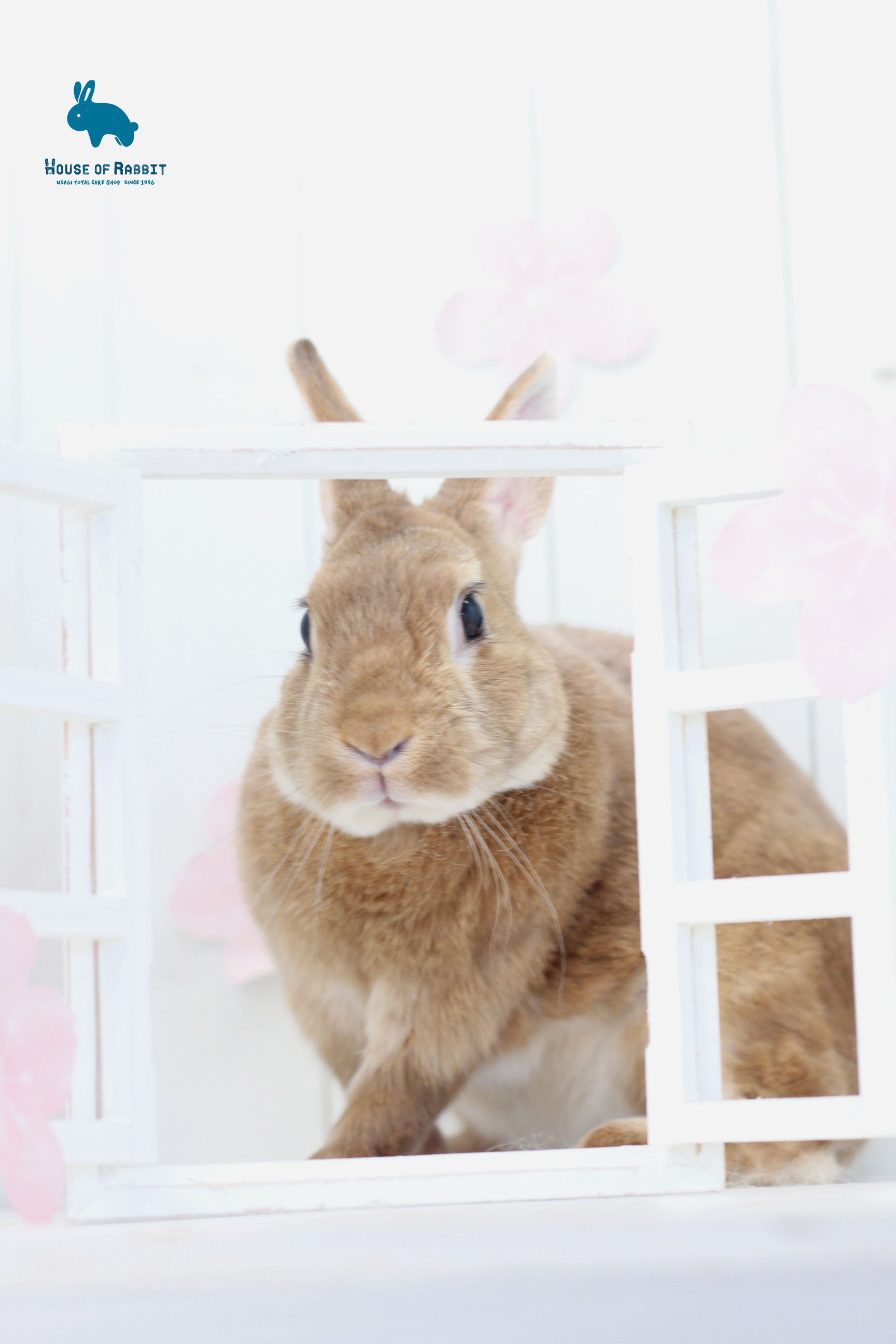 ひなた1.jpg