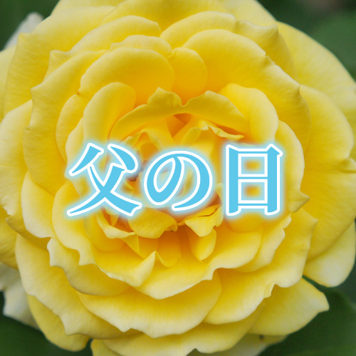 【感謝の気持ち】父の日の予約承ります!