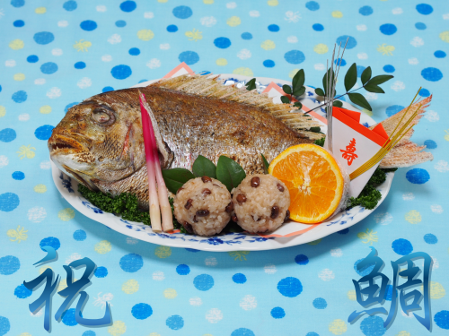 祝い鯛