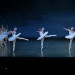 IMG_1039.jpeg