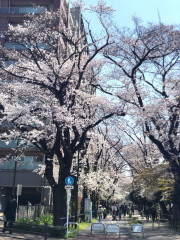 4月6日今日から新年度スタートです☆