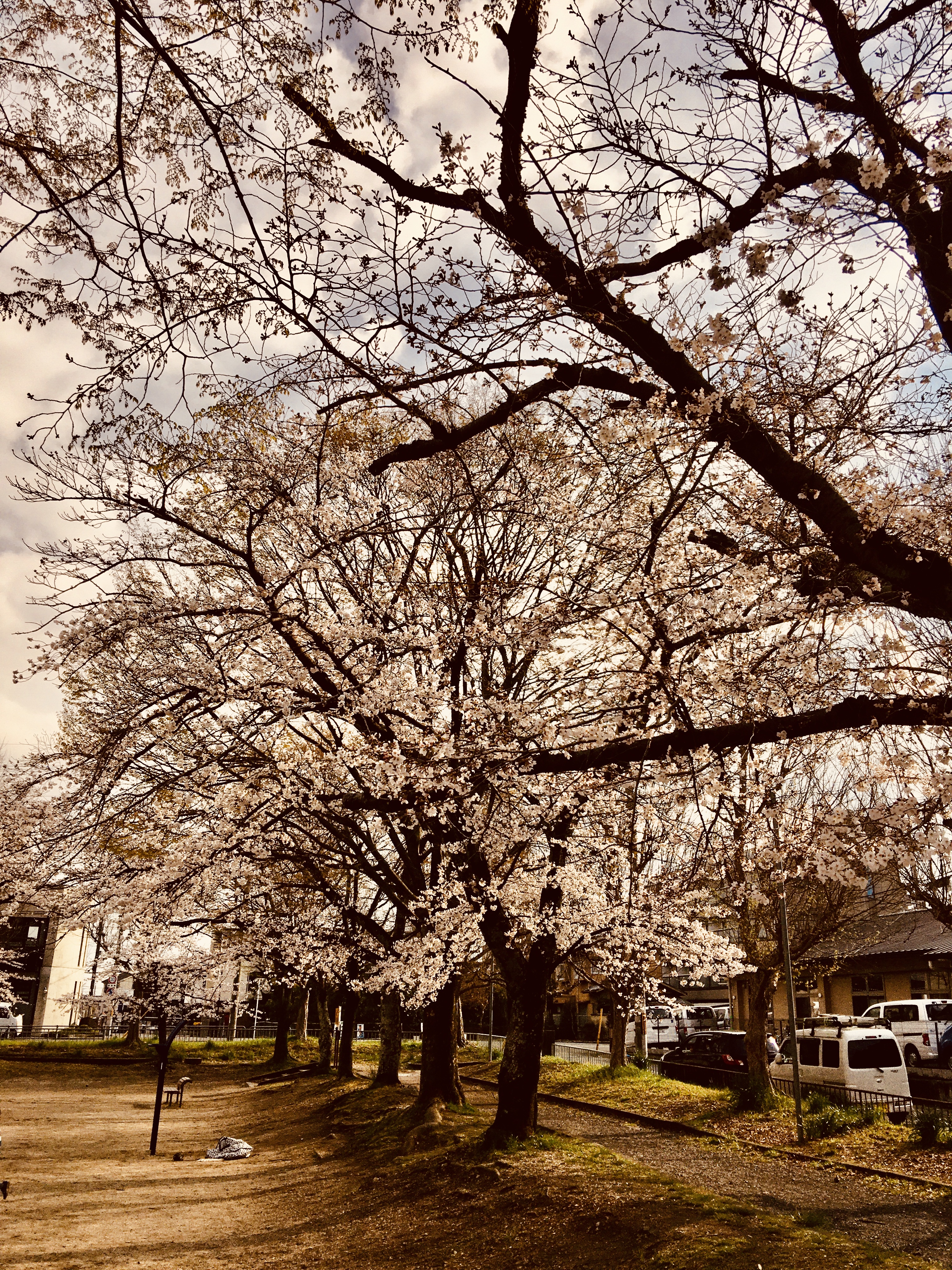 通常営業しています❣️