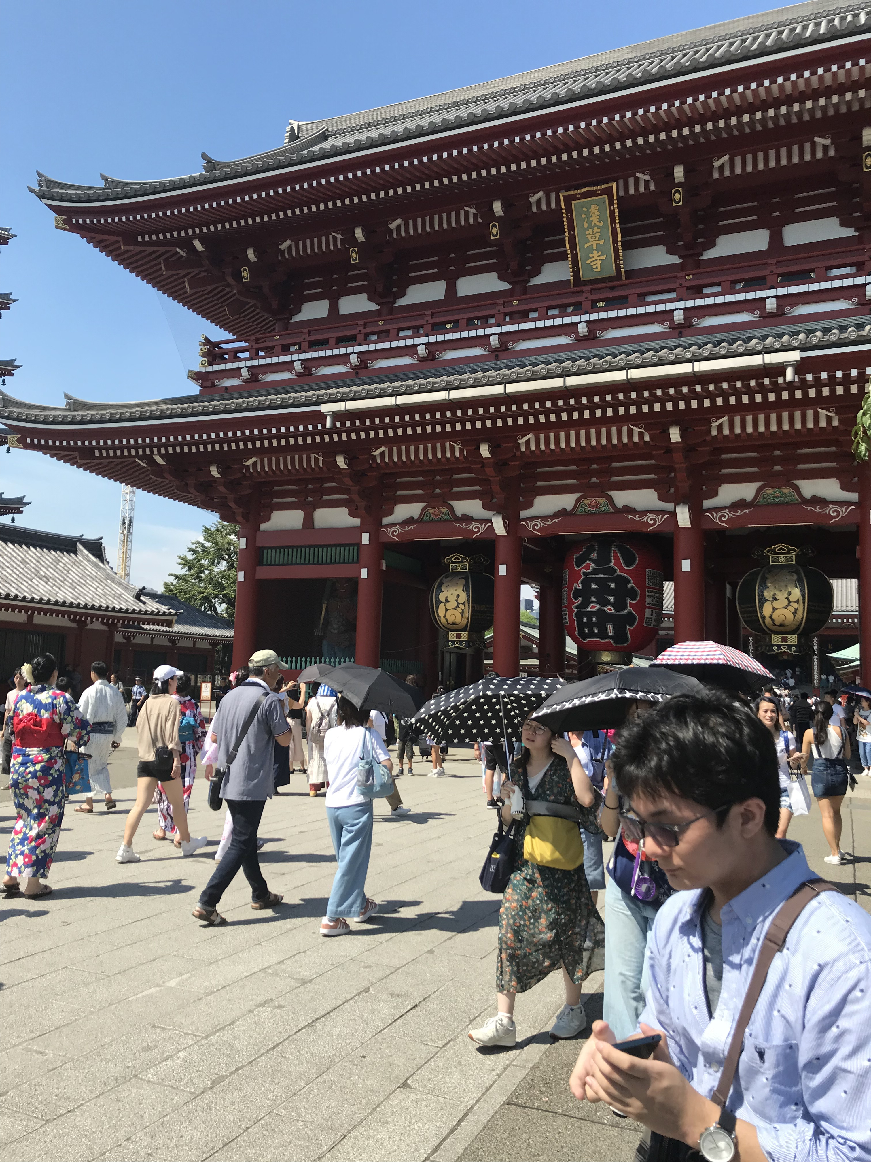 54095454-ABD3-4A60-A787-0BEE5E562FE8.jpeg