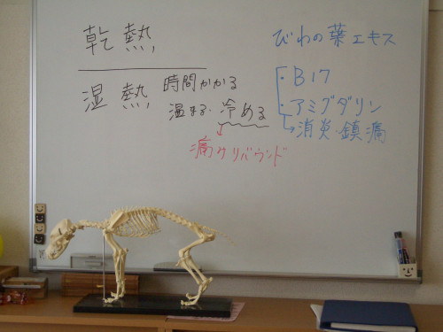 CIMG6391.JPG