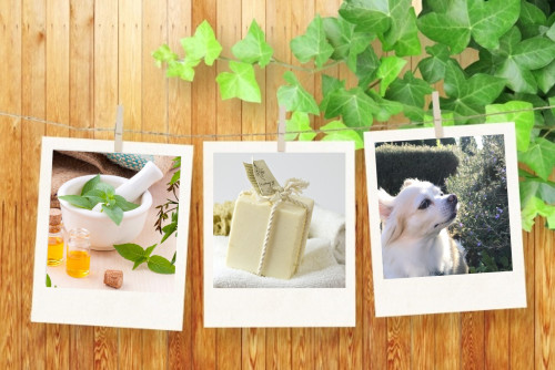 無料体験会開催！