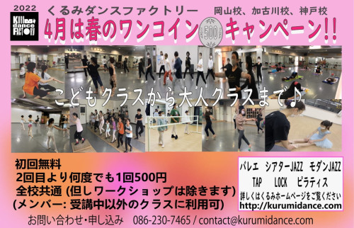 春のワンコインキャンペーン!!