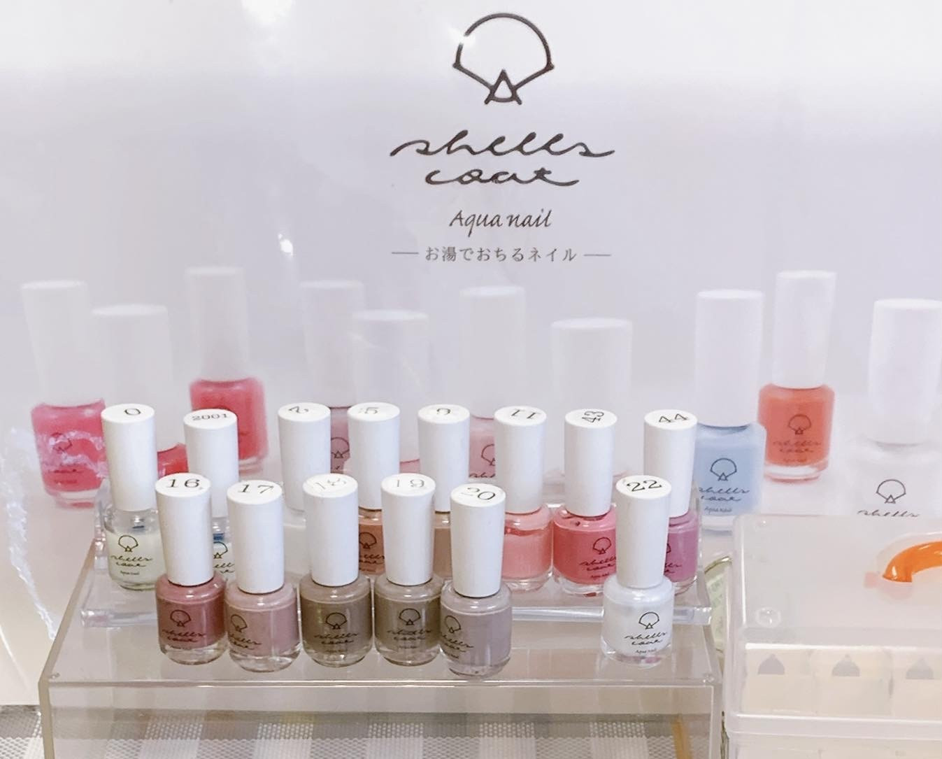 貝殻から生まれた水性ネイル🐚シェルズコート
