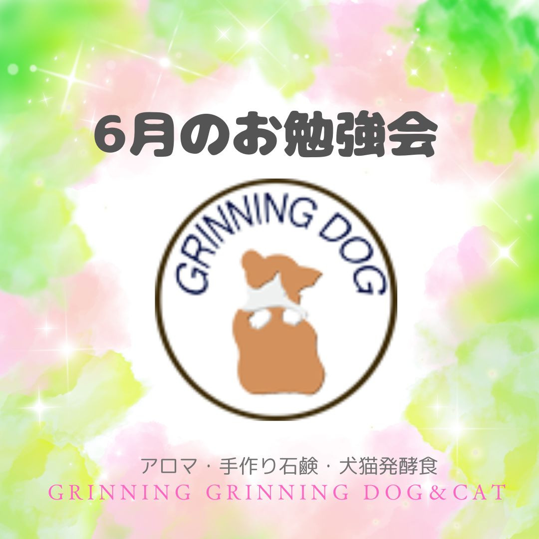 6月のZOOM勉強会