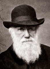 310px-Charles_Darwin_1880.jpg