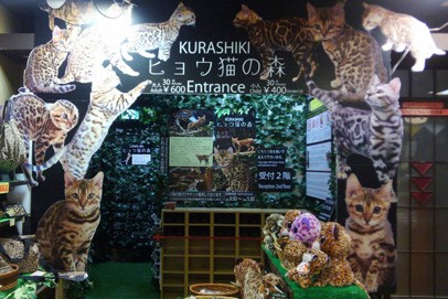 Kurashiki ヒョウ猫の森 猫カフェ ふれあいフクロウ園 フクロウの森とヒョウ猫の森