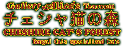 Gallery Alice S Tearoom チェシャ猫の森 猫カフェ ふれあいフクロウ園 フクロウの森とヒョウ猫の森