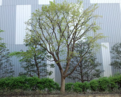 CA3F0020.JPG