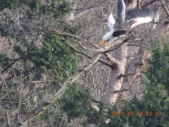 DSCN5775.JPG