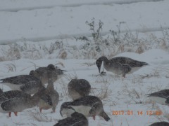 DSCN5808.JPG