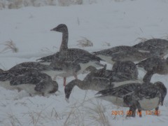 DSCN5814.JPG