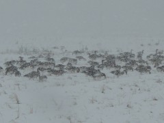 RSCN5818.JPG