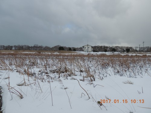 DSCN5833.JPG