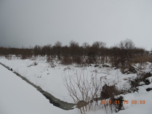 DSCN5823.JPG