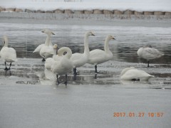 DSCN5943.JPG