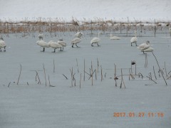 DSCN5957.JPG