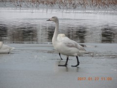 DSCN5955.JPG