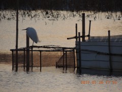 DSCN5982.JPG