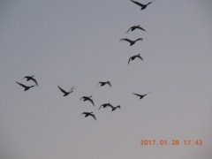 DSCN6003.JPG