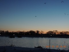 DSCN6029.JPG