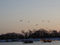 DSCN5993.JPG