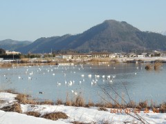 DSCN6041.JPG