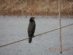 DSCN6054.JPG