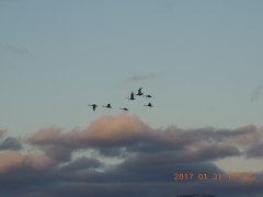 DSCN6063.JPG