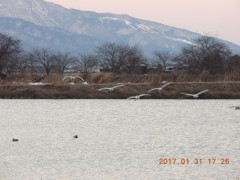 DSCN6077.JPG
