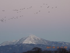 DSCN6082.JPG