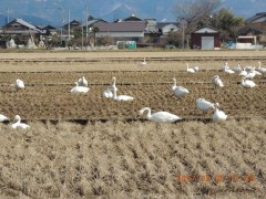 DSCN6128.JPG