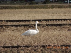 DSCN6129.JPG