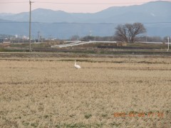 DSCN6166.JPG