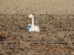 DSCN6135.JPG