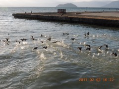 DSCN6160.JPG