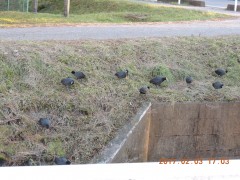 DSCN6163.JPG