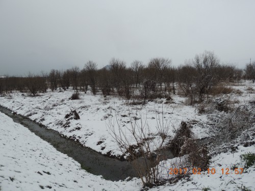 DSCN6224.JPG