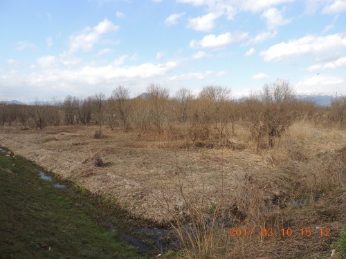 DSCN6975.JPG