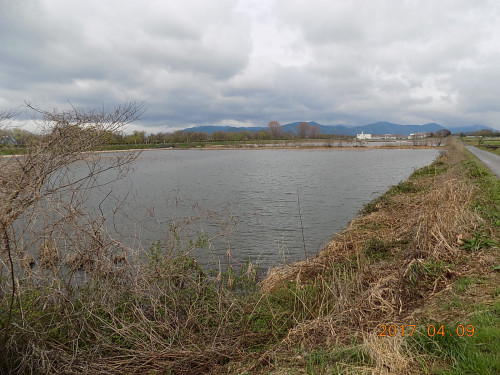 DSCN6385.JPG