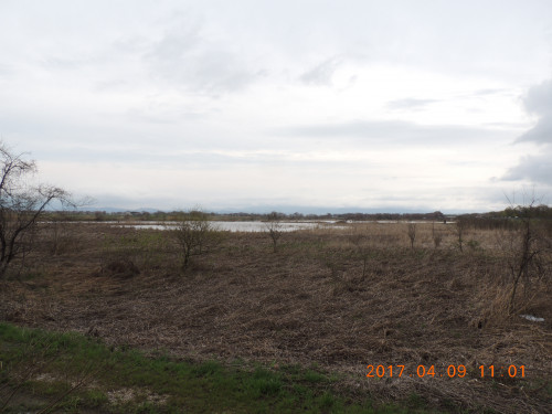 DSCN7886.JPG